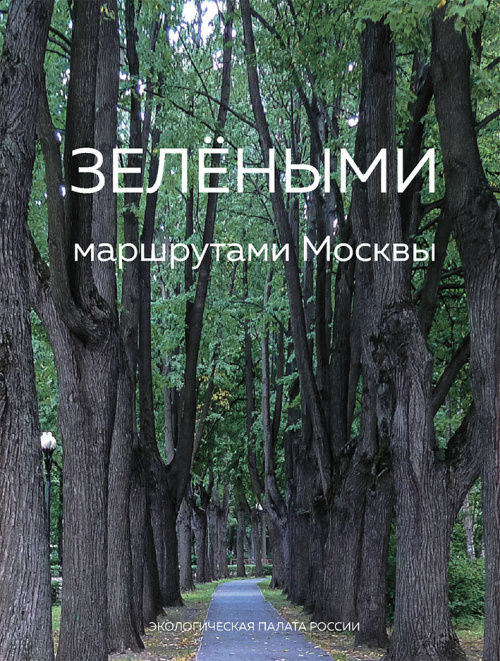 Зелёными маршрутами Москвы 