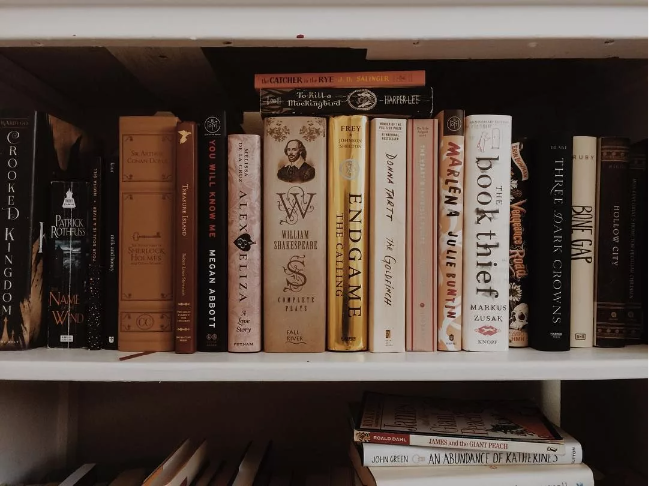 В Словакии увеличат налог на книги