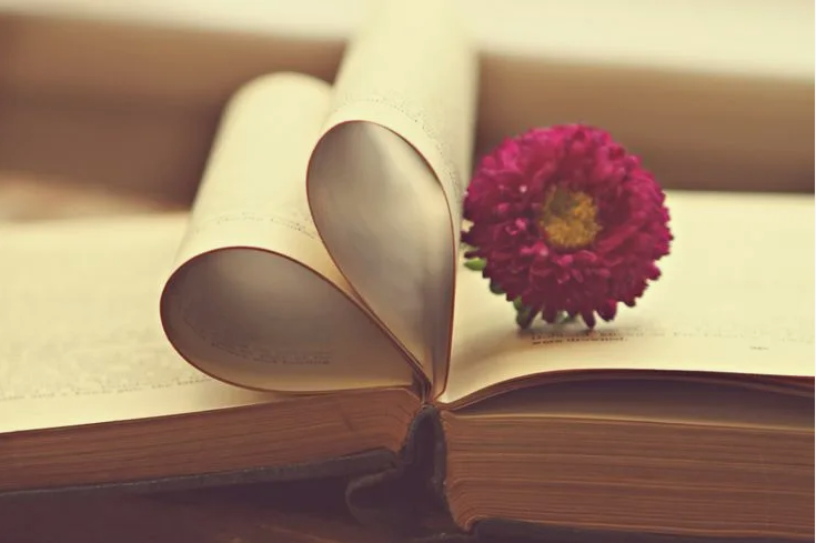 Россияне не считают любовь в классических книгах идеальной