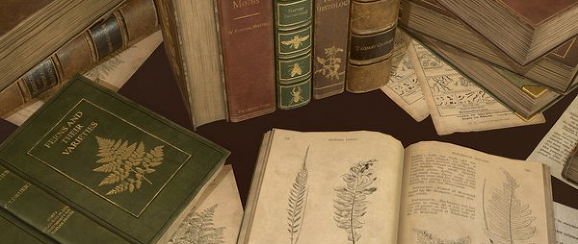 В Госдуме приняли закон о книжных памятниках
