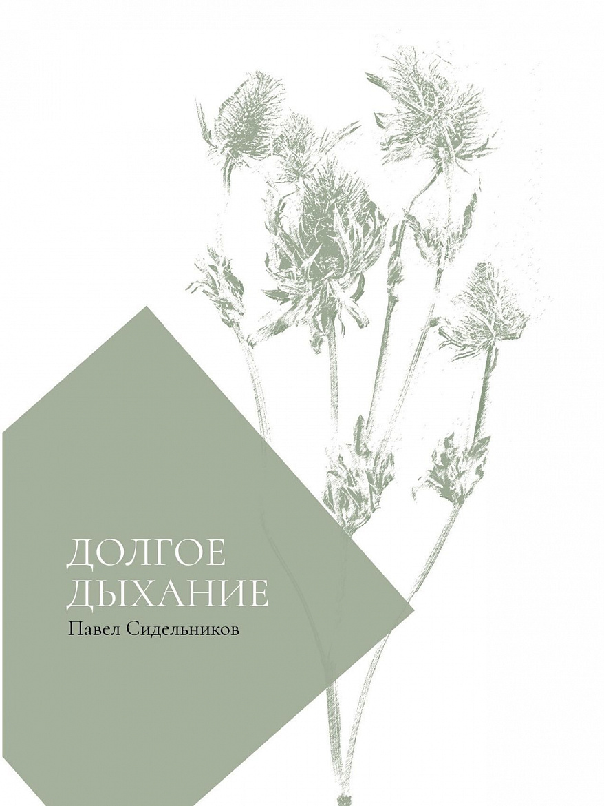 Павел Сидельников. Долгое дыхание – М.: «Наш современник», 2023 – 54 с.