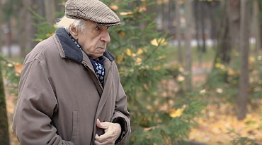 Видеопоэзия. Евгений Рейн «Снова листья подходят к балкону»