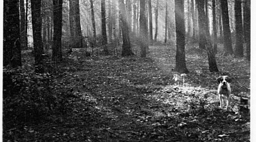 ГМИРЛИ им. Даля представит выставку «Биография в фотографиях Михаила Пришвина»