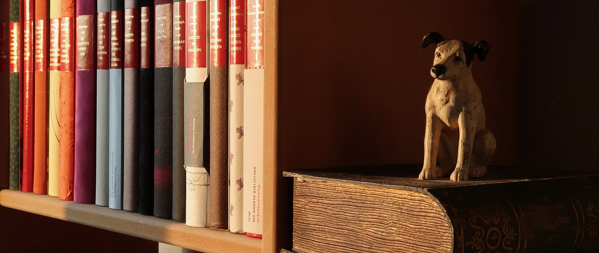 Словарь Института русского языка пополнили новые слова Словарь Института русского языка пополнили новые слова