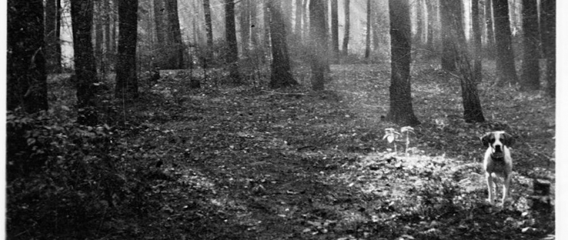 ГМИРЛИ им. Даля представит выставку «Биография в фотографиях Михаила Пришвина»