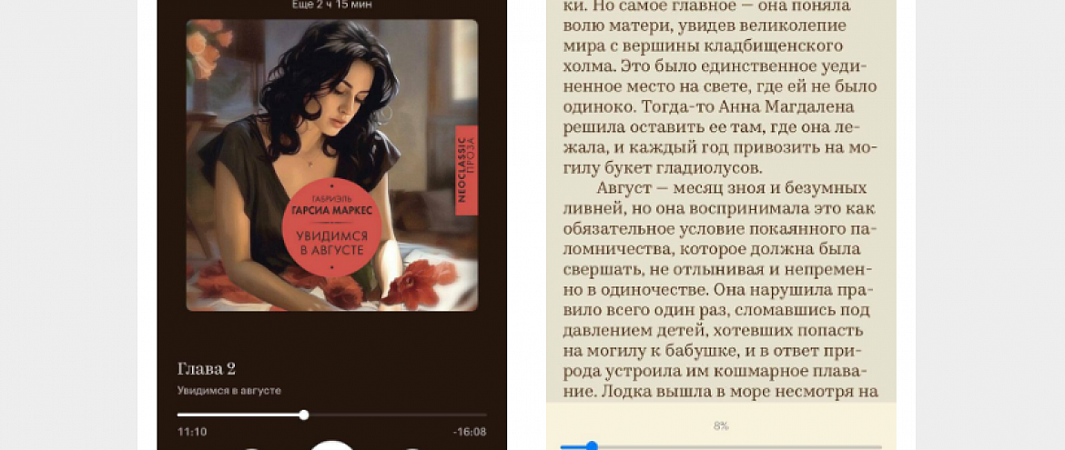 В Букмейте появилась возможность переключения между форматами В Букмейте появилась возможность переключения между форматами
