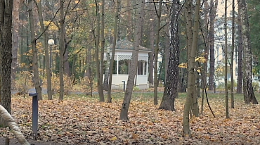 Видеопоэзия. Евгений Рейн «Полковник запаса» 